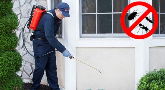 Hayrabolu Karınca İlaçlama böcek ilaçlama ve haşere kontrolü — ilaclama-tr.com
